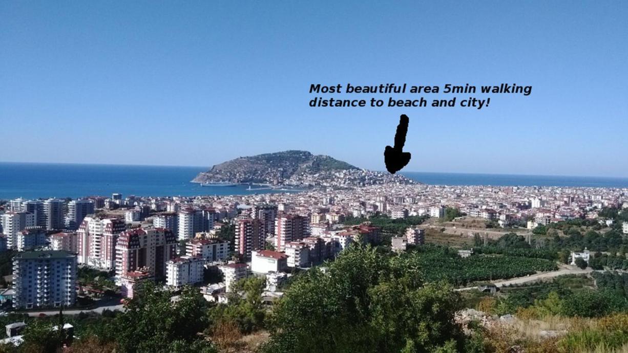 Sultan House: Beachfront Apartment with Balcony and Amenities Alanya Exterior photo
